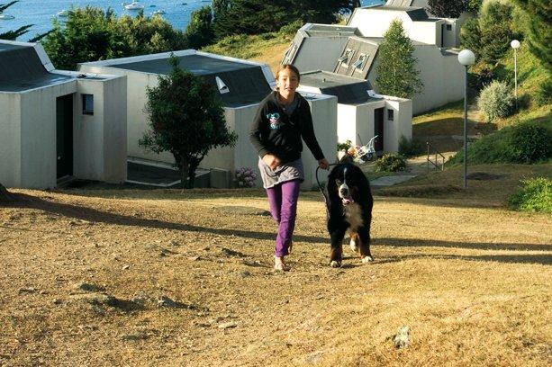 Village de Vacances Les Grenats Bretagne - Groix visuel 4/20