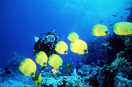 Village des Aloes Languedoc-Roussillon - Cerbère visuel 14/18