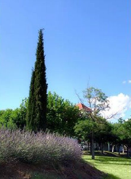 Village Vacances Le Castel des Cévennes Rhône-Alpes - Les Vans visuel 7/10