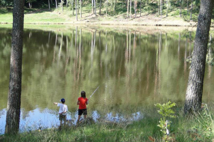Village Vacances Le Pont Aubert Limousin - Soursac visuel 4/9