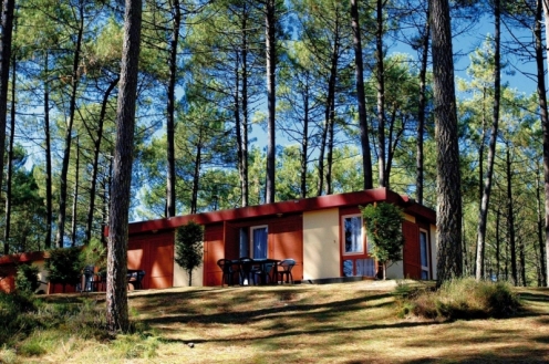 Village Vacances les Villages sous les Pins Aquitaine - Moliets-et-Maa visuel 8/10