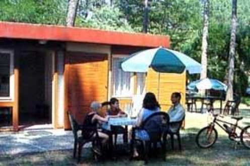 Village Vacances les Villages sous les Pins Aquitaine - Moliets-et-Maa visuel 7/10