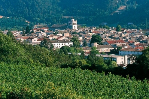 Village Vacances VVF Die Rhône-Alpes - Die visuel 5/10