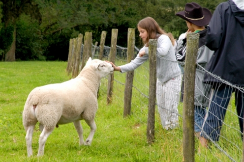 Village Vacances VVF Forges-les-Eaux Haute-Normandie - Forges-les-Eaux visuel 9/11