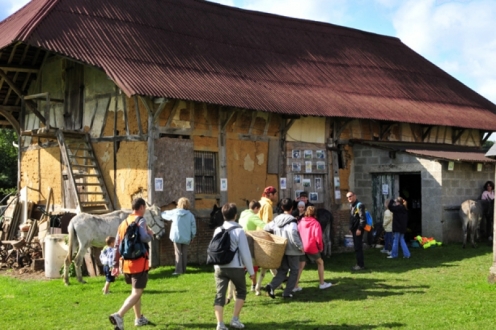 Village Vacances VVF Forges-les-Eaux Haute-Normandie - Forges-les-Eaux visuel 4/11