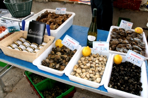 Village Vacances VVF Ile de Groix Bretagne - Groix visuel 9/10