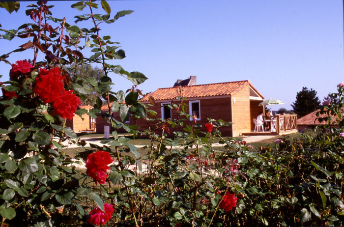 Village Vacances VVF la Bussière Poitou-Charentes - La Bussière visuel 2/10