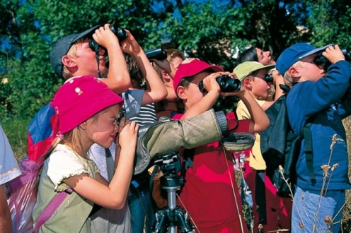 Village Vacances VVF la Bussière Poitou-Charentes - La Bussière visuel 6/10