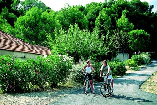 Village Vacances VVF La Salvetat-sur-Agoût Languedoc-Roussillon - La Salvetat-sur-Agout visuel 11/12