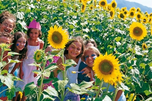 Village Vacances VVF Lagrand Provence-Alpes-Côte d'Azur - Lagrand visuel 7/10