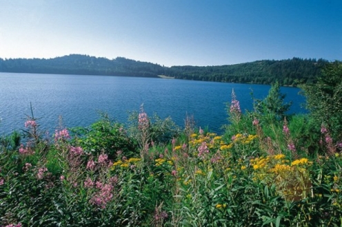 Village Vacances VVF les Estables Auvergne - Les Estables visuel 7/19