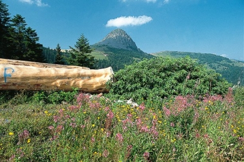 Village Vacances VVF les Estables Auvergne - Les Estables visuel 8/19