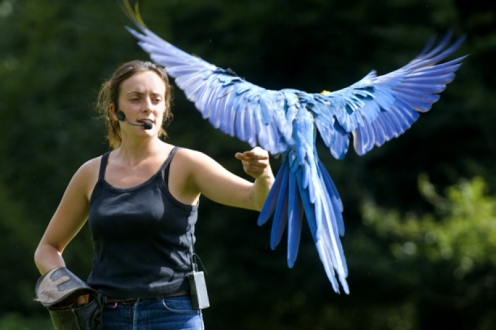 Village Vacances VVF Rochefort-en-Terre Bretagne - Rochefort-en-Terre visuel 8/10