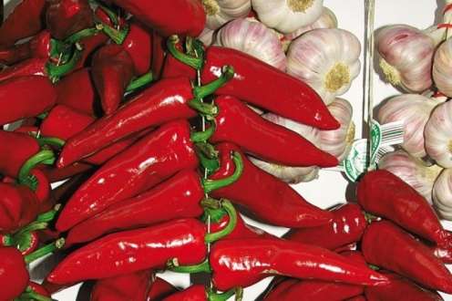 Village Vacances VVF Sare Aquitaine - Sare visuel 6/11