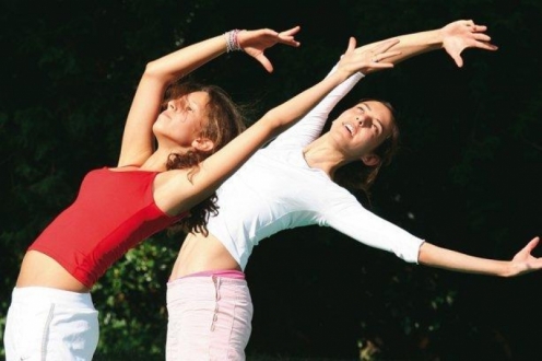 Village Vacances VVF Semur-en-Auxois Bourgogne - Semur-en-Auxois visuel 3/10