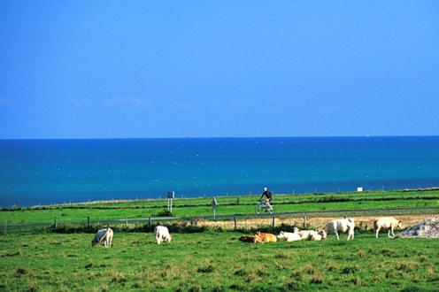 Village Vacances VVF Veules-les-Roses Haute-Normandie - Veules-les-Roses visuel 6/10