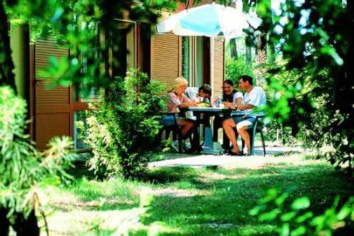 Villages sous les pins / les Arbousiers Aquitaine - Léon visuel 7/10