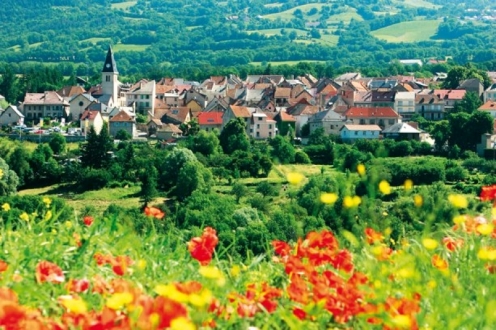 Villages Vacances VVF Saint-Bonnet-en-Champsaur Provence-Alpes-Côte d'Azur - Saint-Bonnet-en-Champsaur visuel 6/28