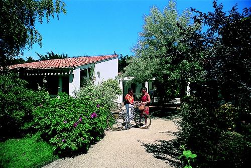 VVF Village Ars-en-Ré Poitou-Charentes - Ars-en-Ré visuel 5/18