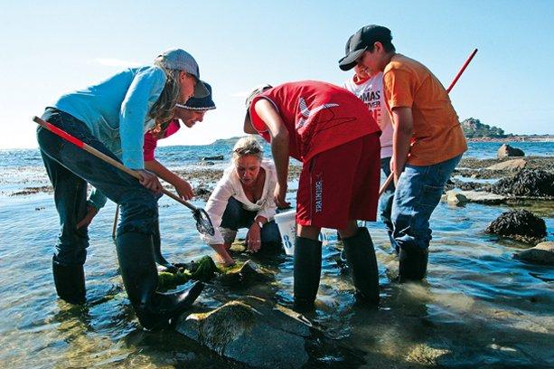 VVF Village Ars-en-Ré Poitou-Charentes - Ars-en-Ré visuel 14/18