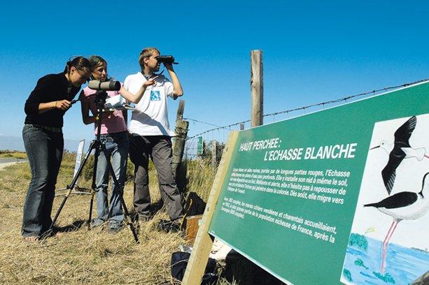 VVF Village Ars-en-Ré Poitou-Charentes - Ars-en-Ré visuel 13/18
