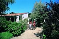 VVF Village Ars-en-Ré Poitou-Charentes - Ars-en-Ré visuel 2/18