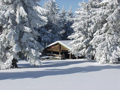 VVF Village Le Fraisegoutte Alsace - Saales visuel 20/20