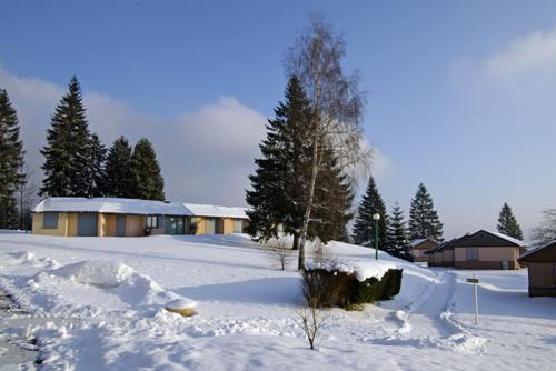 VVF Village Le Fraisegoutte Alsace - Saales visuel 13/20