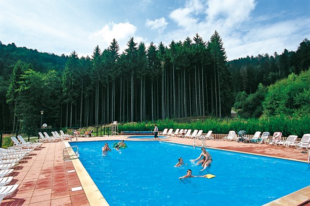 VVF Village Le Fraisegoutte Alsace - Saales visuel 7/20