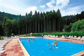 VVF Village Le Fraisegoutte Alsace - Saales visuel 6/20