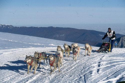 VVF Village Les Cigalières Midi-Pyrénées - Les Cabannes visuel 7/20