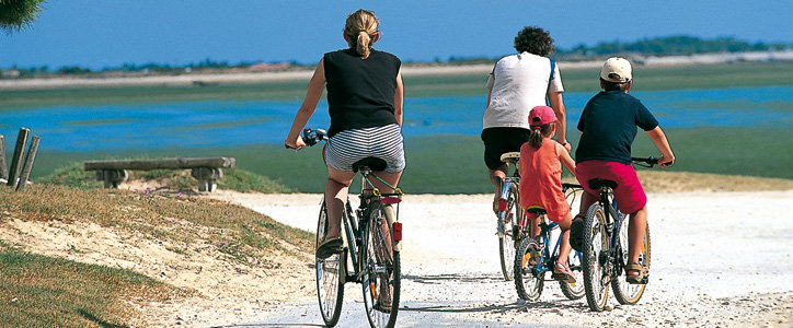 VVF Village Sainte-Marie-de-Ré Languedoc-Roussillon - Sainte-Marie-de-Ré visuel 4/15