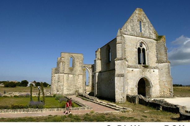 VVF Village Sainte-Marie-de-Ré Languedoc-Roussillon - Sainte-Marie-de-Ré visuel 7/15