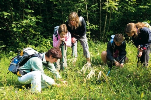 VVF Villages de Lélex Rhône-Alpes - Lélex visuel 10/18