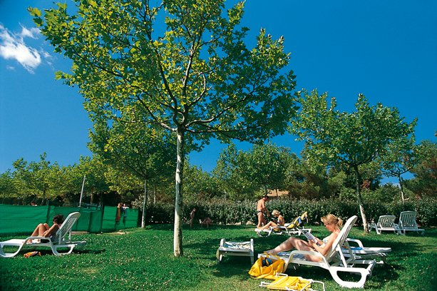 VVF Villages Méjannes-le-Clap Languedoc-Roussillon - Méjannes-le-Clap visuel 4/13