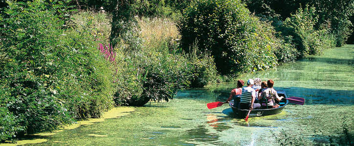 VVF Villages Tonnay-Boutonne Poitou-Charentes - Tonnay-Boutonne visuel 8/8