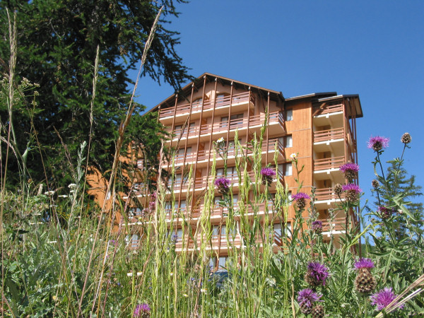 Résidences Constellation Forêt Blanche Provence-Alpes-Côte d'Azur - Risoul 1850 visuel 10/15