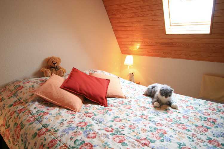 Résidences de Vielle Aure Midi-Pyrénées - Saint-Lary visuel 2/8