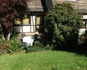 Résidences des Chataigniers  Alsace - Lembach visuel 3/7