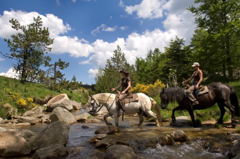 Le Mas de la Barque - Villefort