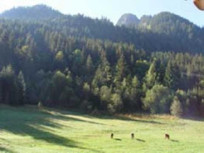 Résidence Les Iris - Châtel