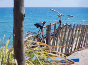 Mas de Torreilles - Torreilles