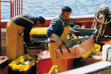 Village de Vacances Les Grenats - Groix