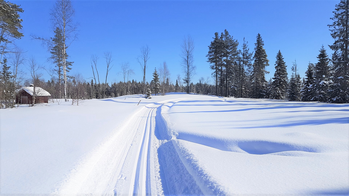 Ski de fond à Samoëns, Peisey-Vallandry ..