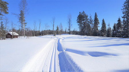 Ski de fond à Samoëns, Peisey-Vallandry ..