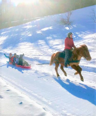 Le Horse Snake-gliss