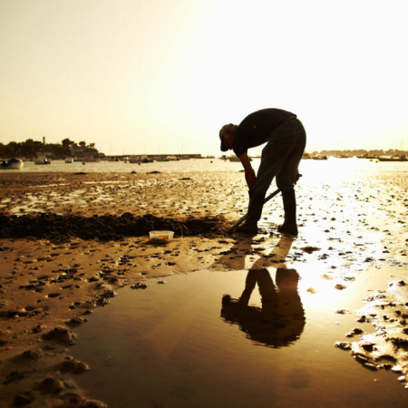 Locations vacances pour la pêche à pieds