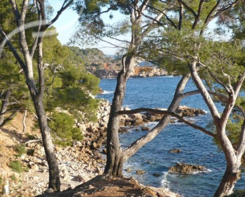 Location vacances Bandol - 1074 - campings