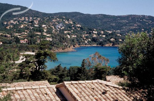 Location vacances Le Lavandou - 1272 - campings